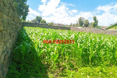 0.1 ha Residential Land at Kiamunyi