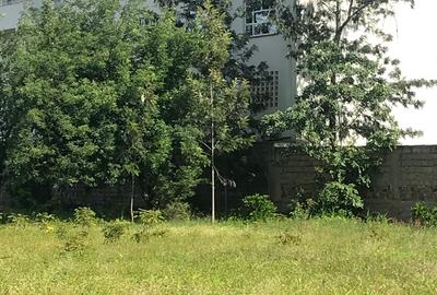 10,000 ft² Land at Kenol Town Front Row