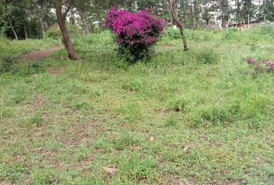 1 ac Land at Kona Baridi