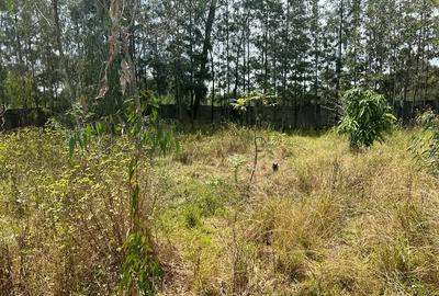 0.5 ac Land in Karen