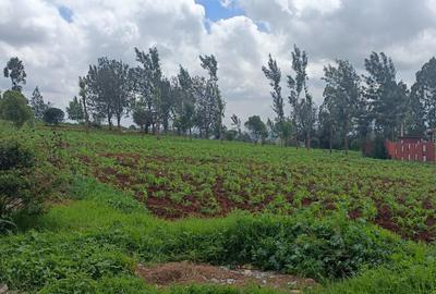 0.045 ha Residential Land at Kikuyu Gikambura