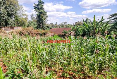 0.125 ac Commercial Land at Kikuyu