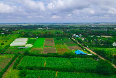 Residential Land in Naivasha - 3