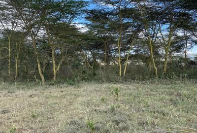 139 ac Land in Naivasha - 4
