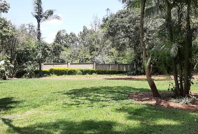 Commercial Property with Backup Generator in Lavington