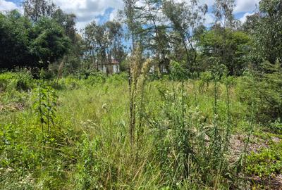 Residential Land in Karen