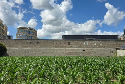 0.5 ac Land at Ruiru - 4