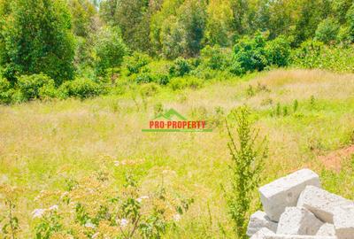 0.05 ha Residential Land at Lusigetti