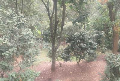 1.4 ac Land at Nyari