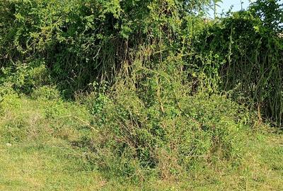 Commercial Land in Juja Farm - 2