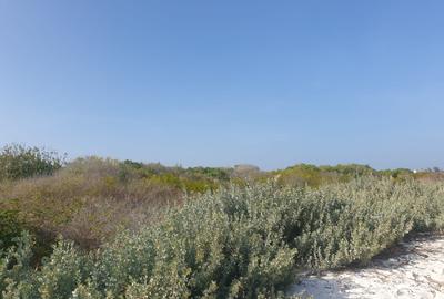 Land at Watamu