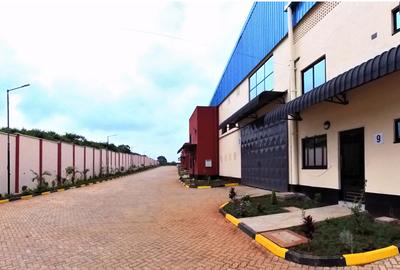 Warehouse in Tatu City - 4