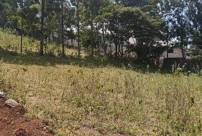 Land at Kibiko