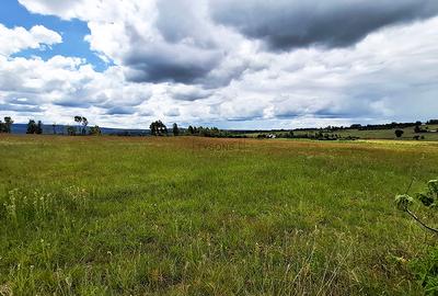 7.71 ac Land in Nyandarua County
