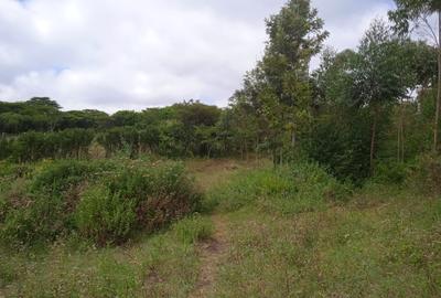 0.25 ac Land in Ngong