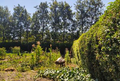Land at Silanga Road