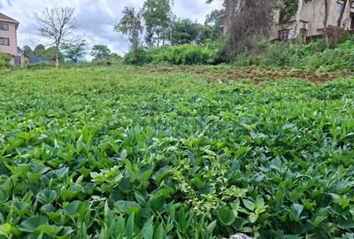 Residential Land in Runda - 2
