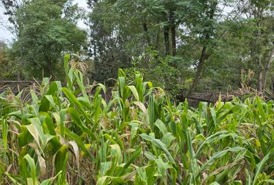 Residential Land in Karen - 2