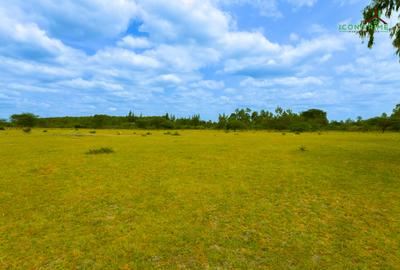 0.125 ac Land at Tala Area - 3