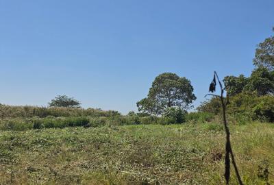 Residential Land in Runda