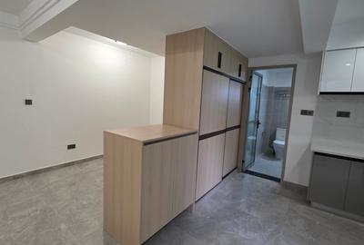 Studio Apartment with En Suite at Valley Acade - 2