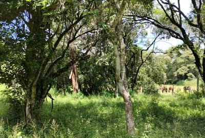 100 ac Land at Thika Road - 4