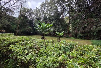 Land in Ngong Road - 2