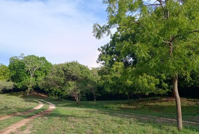 90 ac Residential Land at Kuruwitu-Vipingo - 4