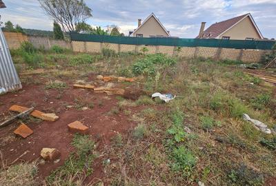 45 ha Residential Land at Kibiko Berra Area - 2