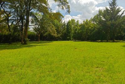 1 ac Residential Land at Three Dee Lane