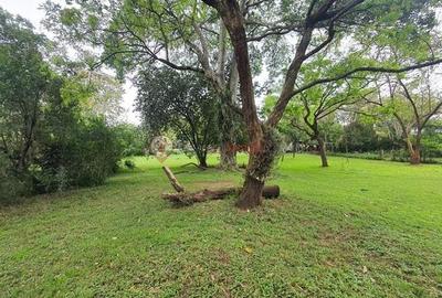 Land at Miotoni Road