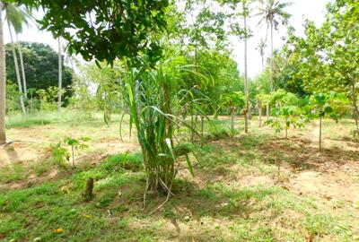 8 ac Land in Kikambala