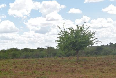 0.05 ha Land at Tumaini Estate