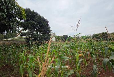 0.5 ac Land in Runda - 4