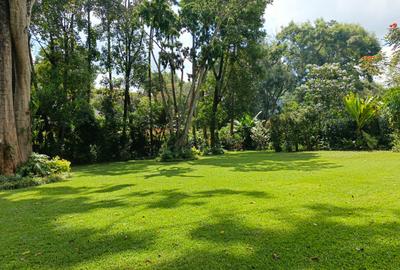 5 Bed House with Staff Quarters in Kitisuru