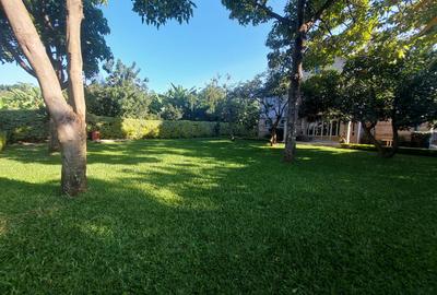 5 Bed House with En Suite in Muthaiga - 4