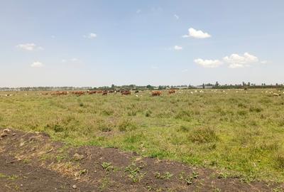 5,445 ft² Land at Namanga Rd
