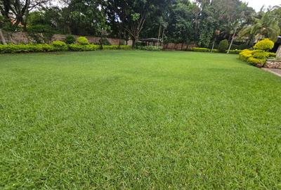 5 Bed House with En Suite in Muthaiga