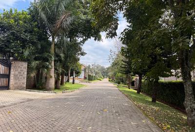 Residential Land at Muthithi Gardens - 3