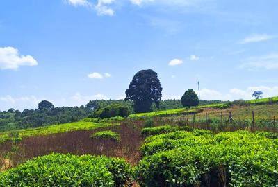 1 ac Residential Land at Tigoni