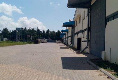 38,000 ft² Warehouse with Service Charge Included at Miritini - 2