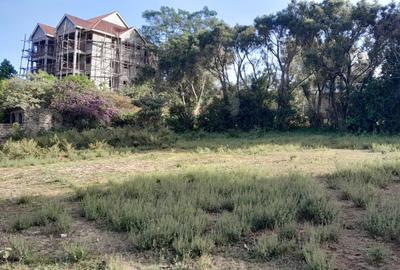 Land at Mayor Road