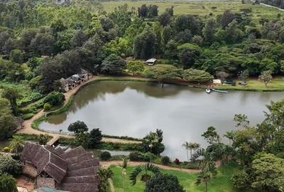 Land in Karen - 2