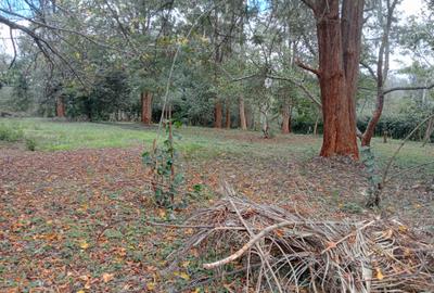 1.00 ac Land at New Muthaiga - 2