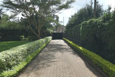0.47 ac Commercial Property with Parking at Mucai Drive