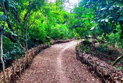 8,093.72 m² Land in Mtwapa