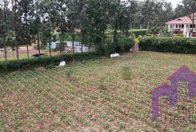 1 ac Land at Karen Road - 4