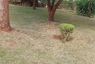 0.25 ac Land in Thika