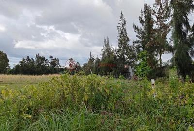 Commercial Land at Kuwinda