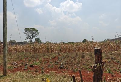 0.5 ac Land at Runda - 2